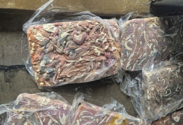 Số lượng lớn lòng cấp đông, chuyển màu chờ tuồn ra thị trường. (Ảnh: CAHN)