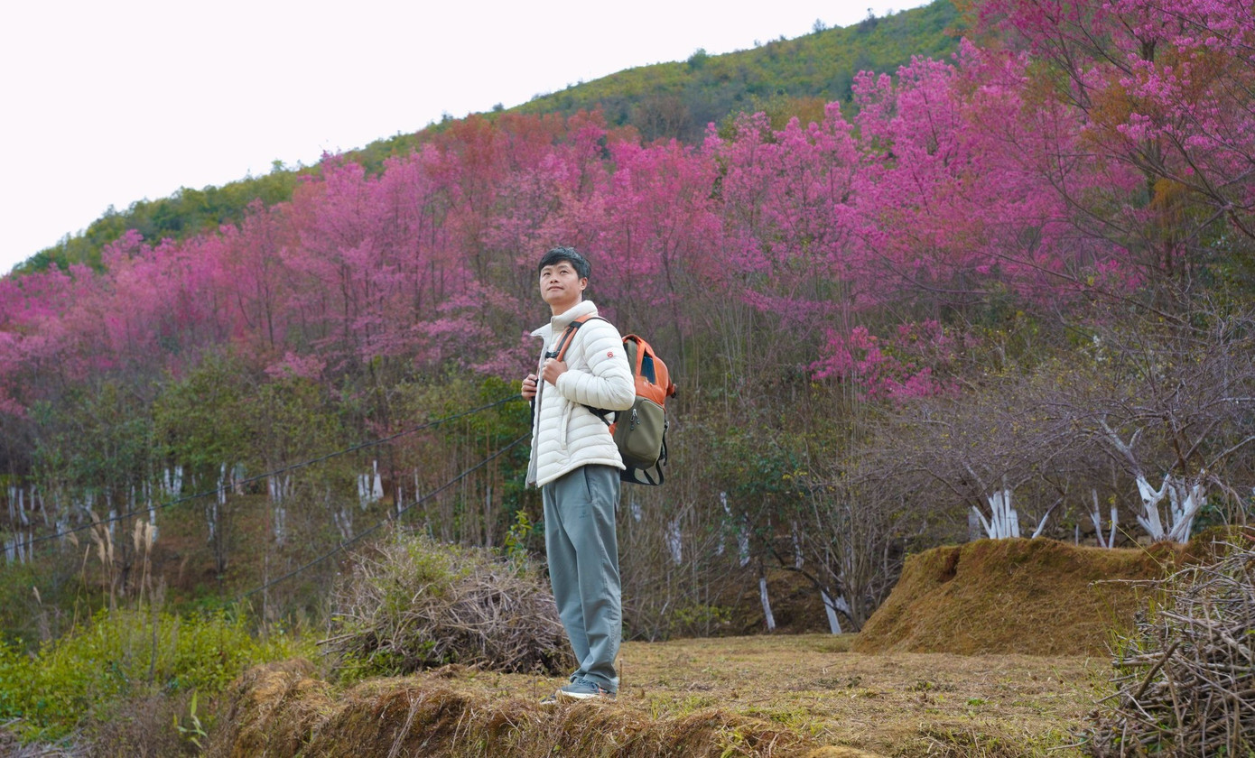 Đổ xô du lịch Sa Pa, Mù Cang Chải- Ảnh 1.