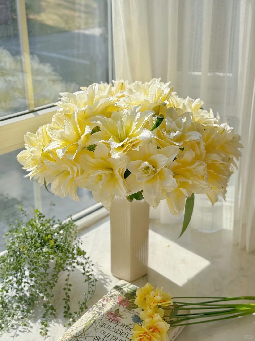 Doa ly mau nang khien hoi yeu hoa vua yeu.j