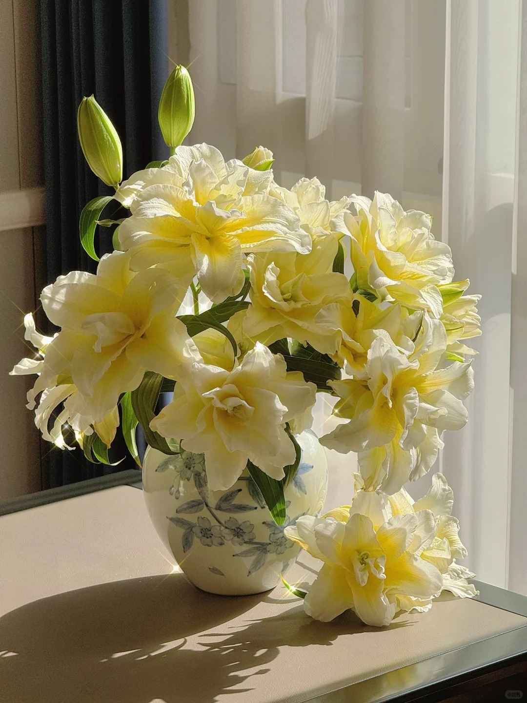 Doa ly mau nang khien hoi yeu hoa vua yeu.jp