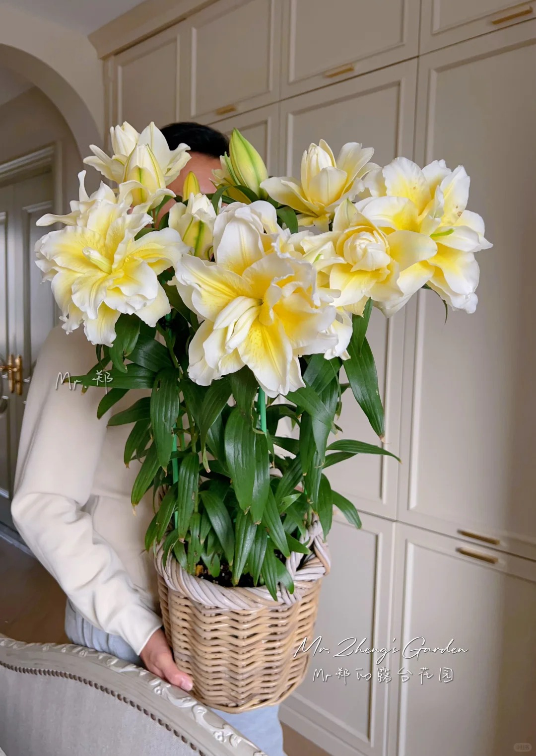 Doa ly mau nang khien hoi yeu hoa vua yeu