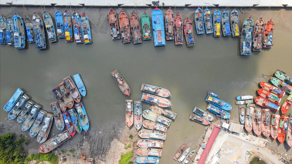 giám sát hành trình,iuu,đồng tháp