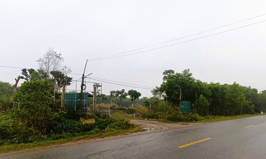 Dự án 250 tỉ đồng 