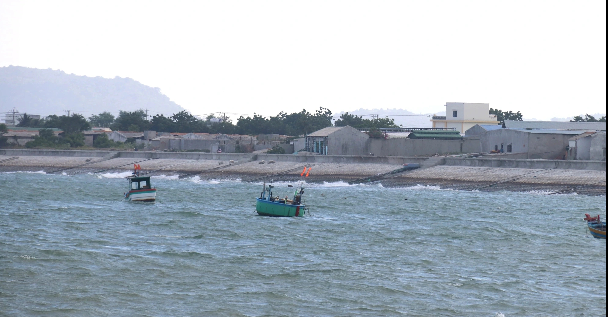 Dừng dự án 'tôm Bình Thuận' người nuôi tôm ảnh hưởng không ?- Ảnh 1.