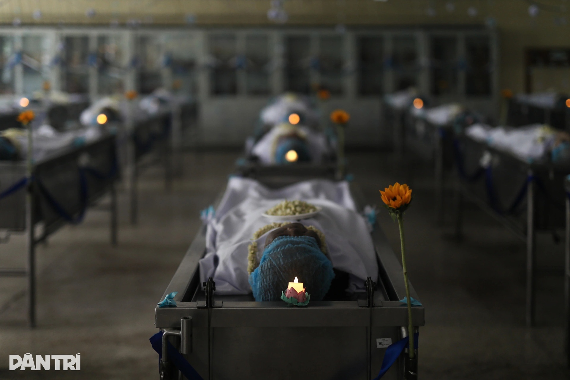 “Gặp lại” người thân trong lễ tri ân người hiến xác cho y học ở TPHCM - 1