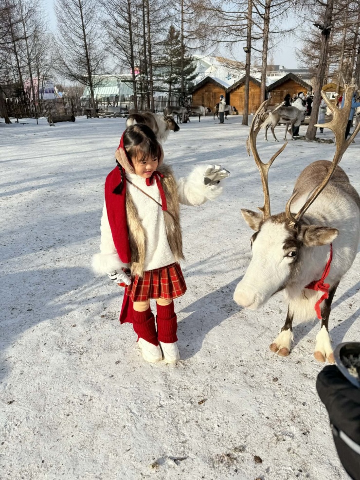 Bé Boo thích thú khi lần đầu thấy cáo, tuần lộc