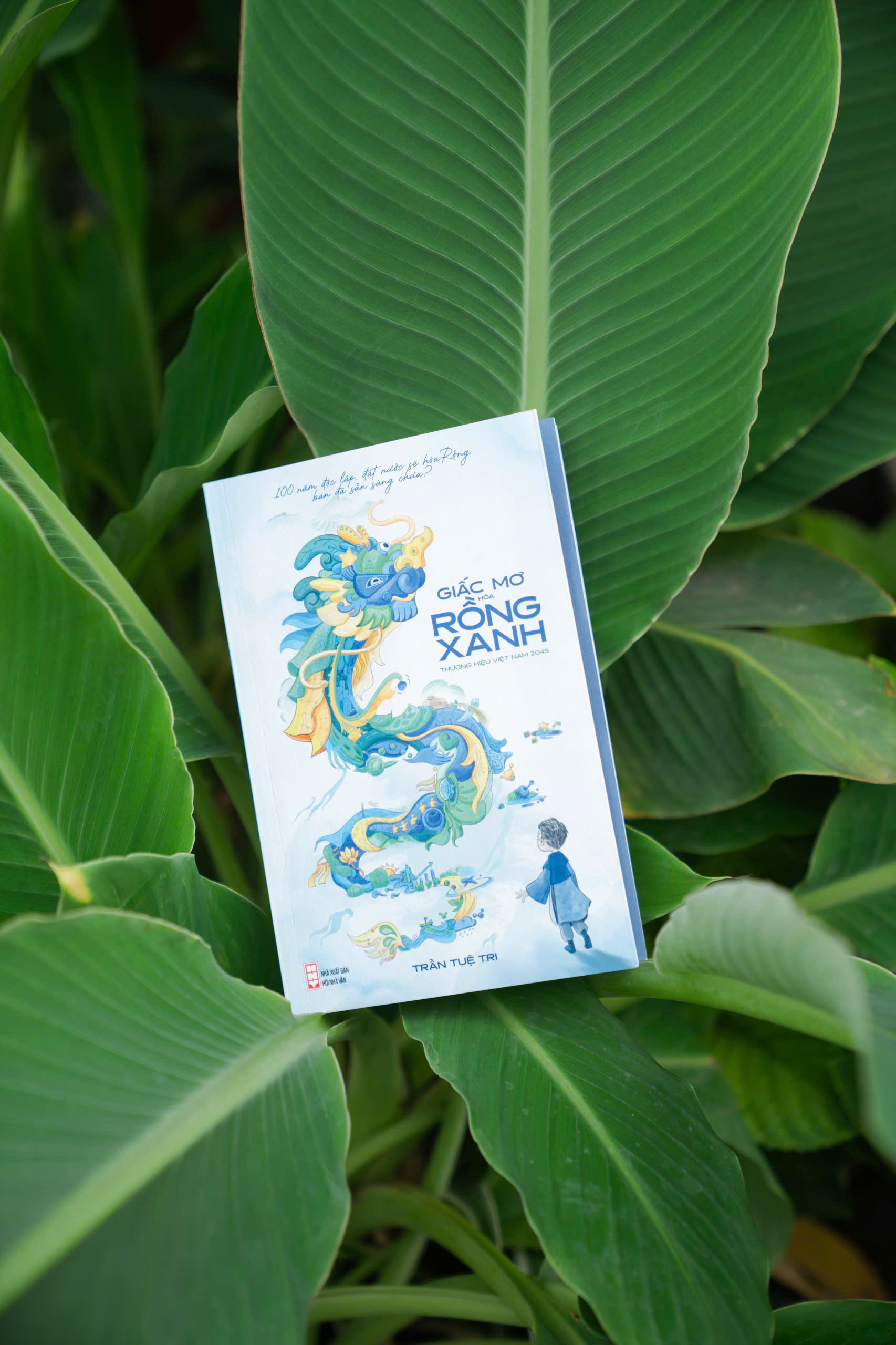 Giấc mơ hóa Rồng Xanh: Để mỗi người đều thấy mình trong tương lai của Việt Nam - Ảnh 2.