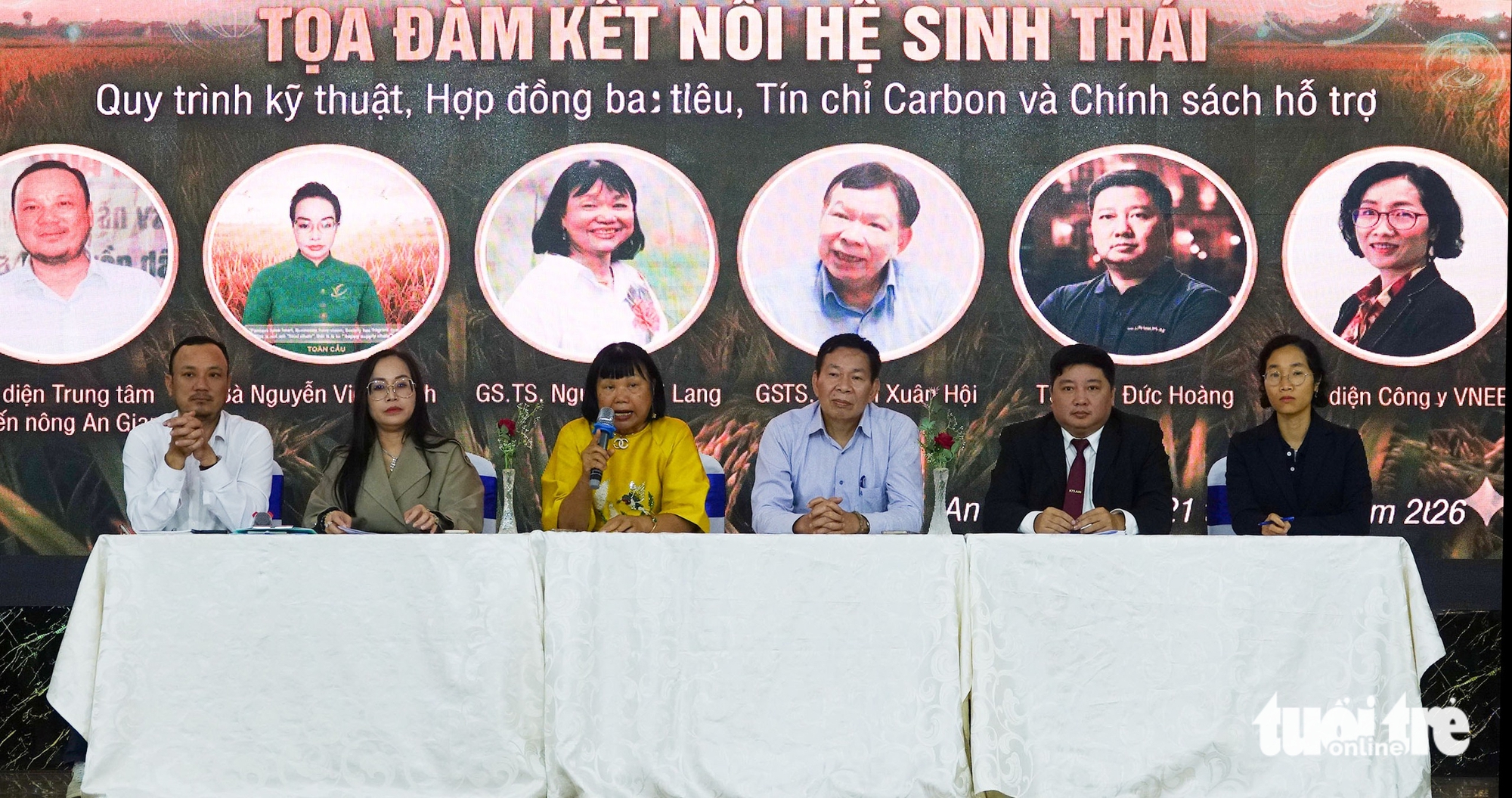 giống lúa - Ảnh 1.