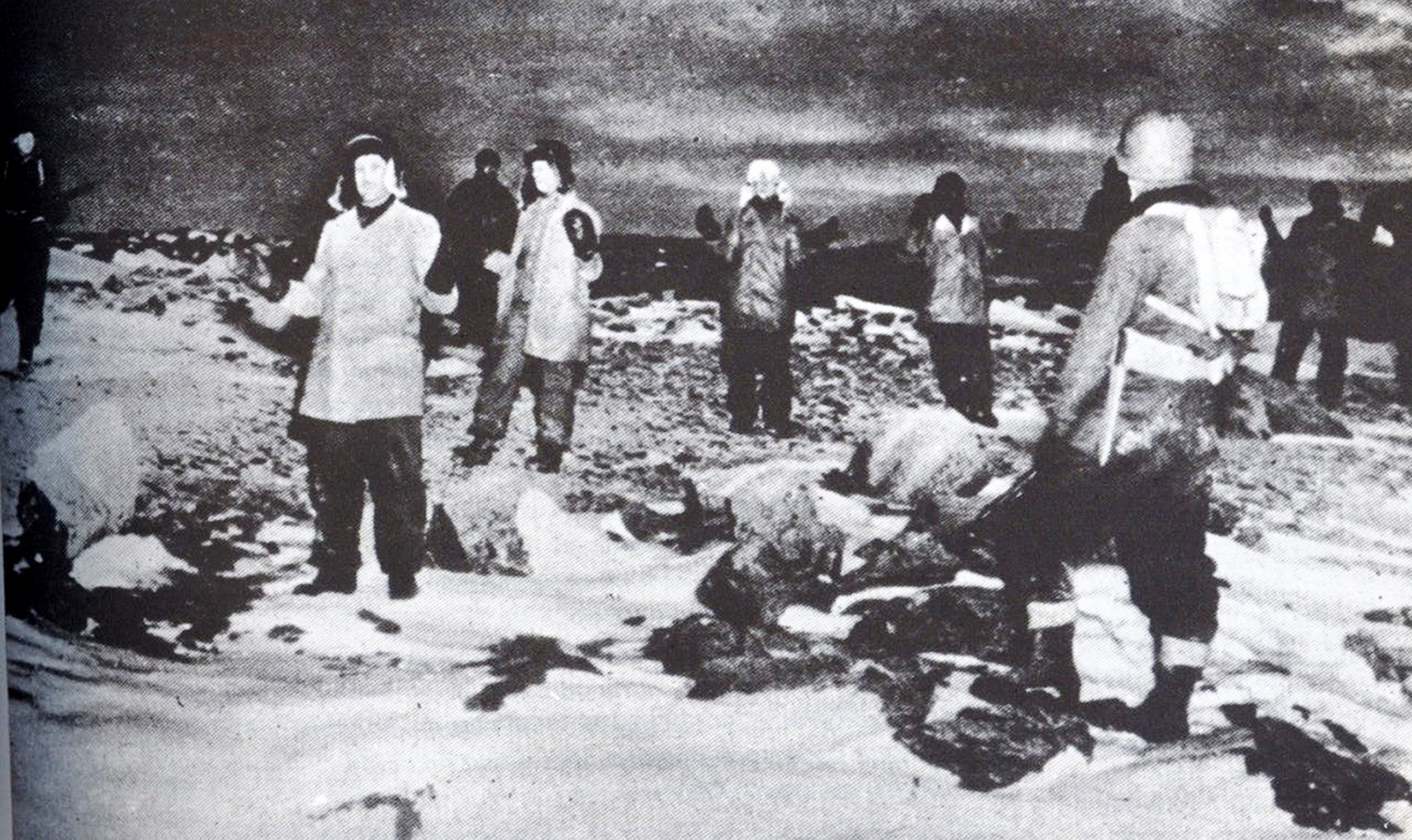 greenland - Ảnh 1.