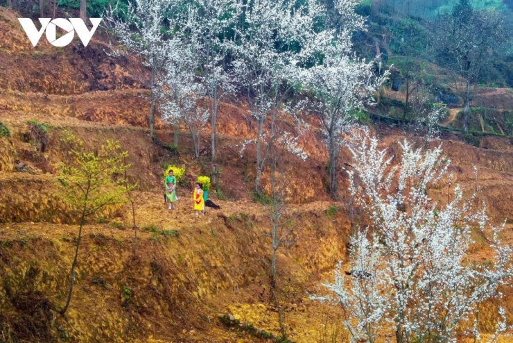 Trên con dốc Thẩm Mã huyền thoại, nơi từng là phép thử sức bền của những chú ngựa thồ, giờ đây là sân chơi của những đứa trẻ người Mông, người Lô Lô.