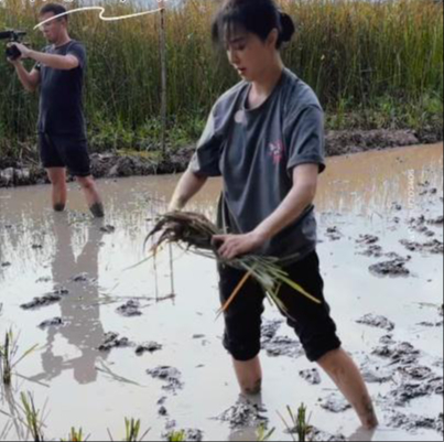 Hết cứu Phạm Băng Băng- Ảnh 2.