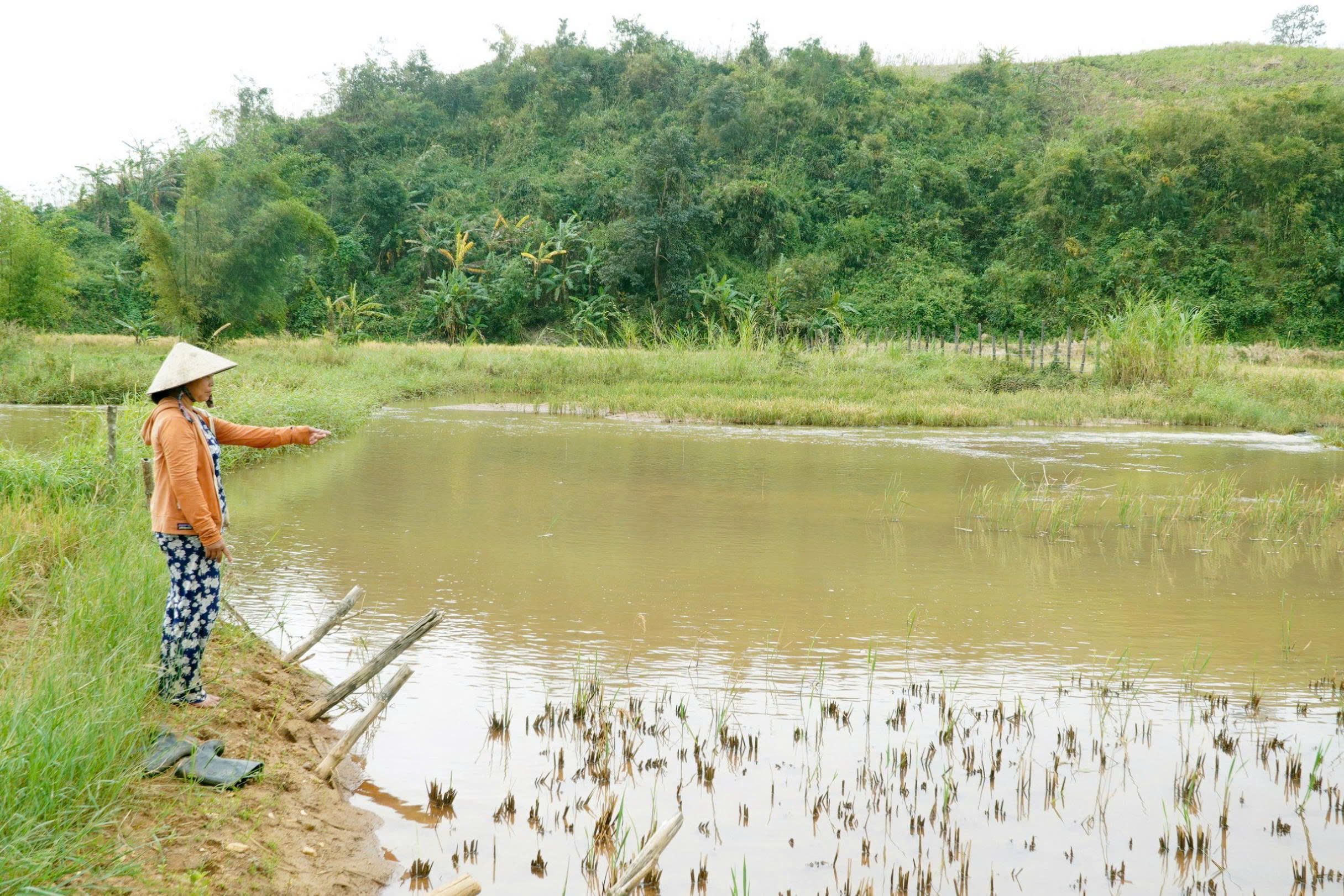 Hỗ trợ bèo bọt, làm đường cẩu thả - Ảnh 1.
