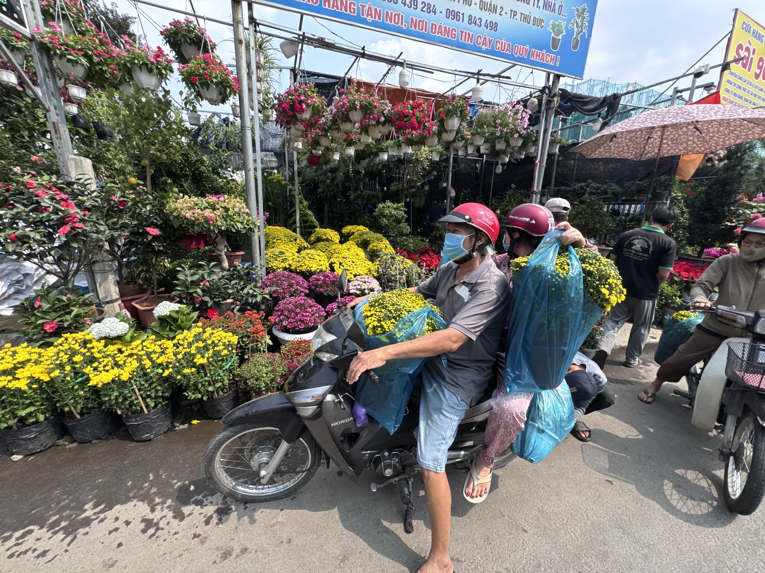 Hoa, kiểng Tết bắt đầu nhộn nhịp - Ảnh 1. Hoa, kiểng Tết bắt đầu nhộn nhịp - Ảnh 1.