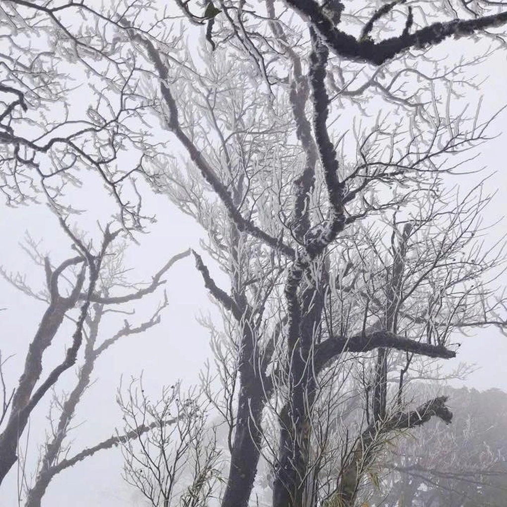 Khách run vì rét buốt dưới 0 độ C ở Cao Bằng - 1