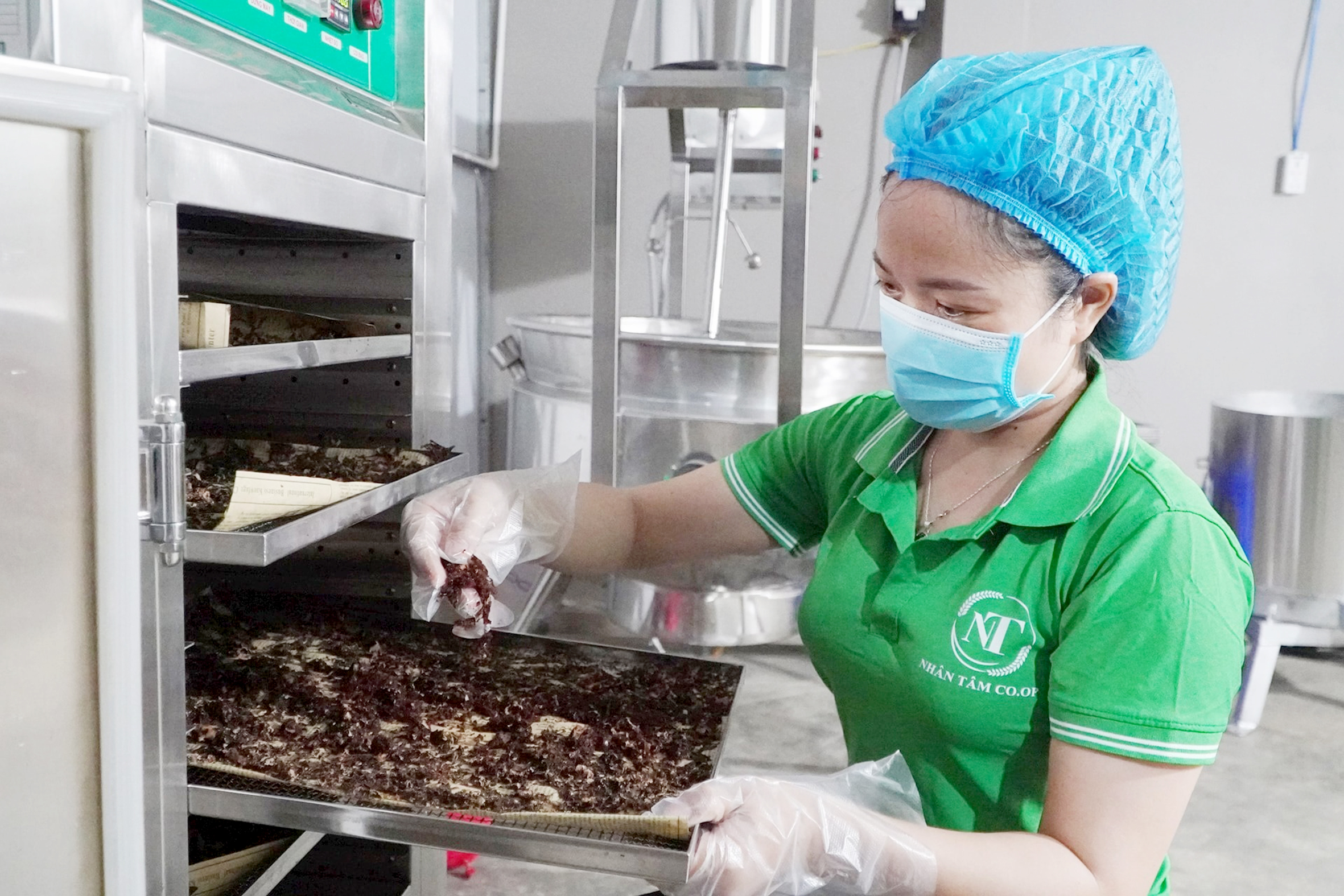 Khát vọng mang hạt ươi bay xa 1 hạt ươi - Ảnh 1.