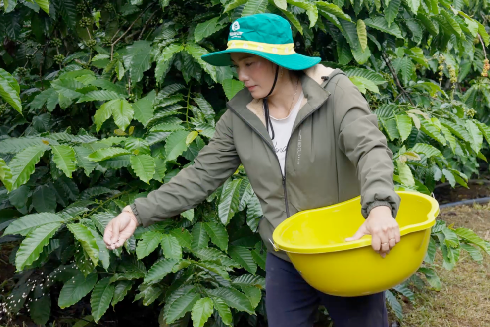 Khởi đầu năm mới, nông dân chủ động mùa vụ cùng NPK Cà Mau - 2