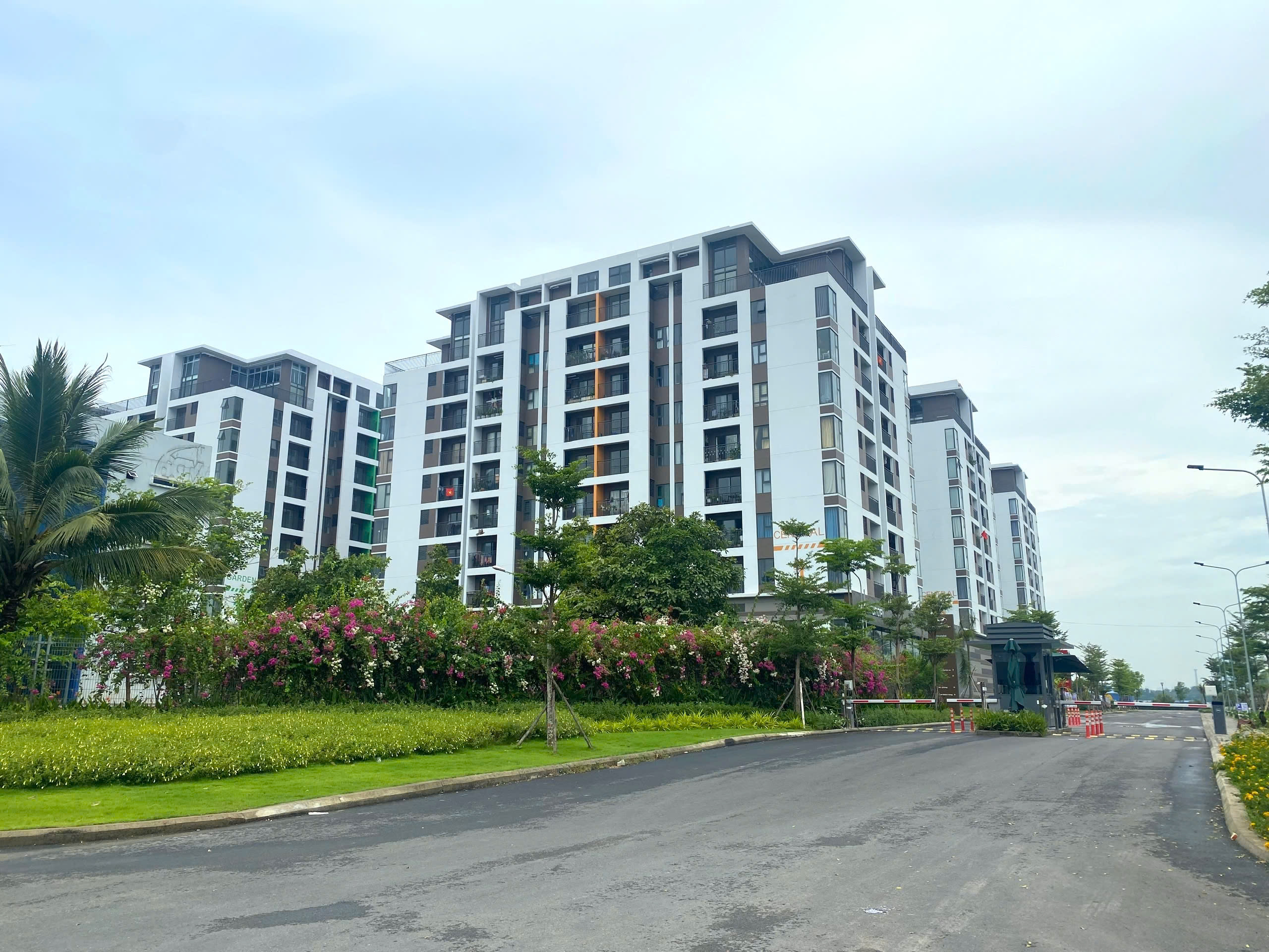 Khơi thông thị trường nhà ở - Ảnh 1.