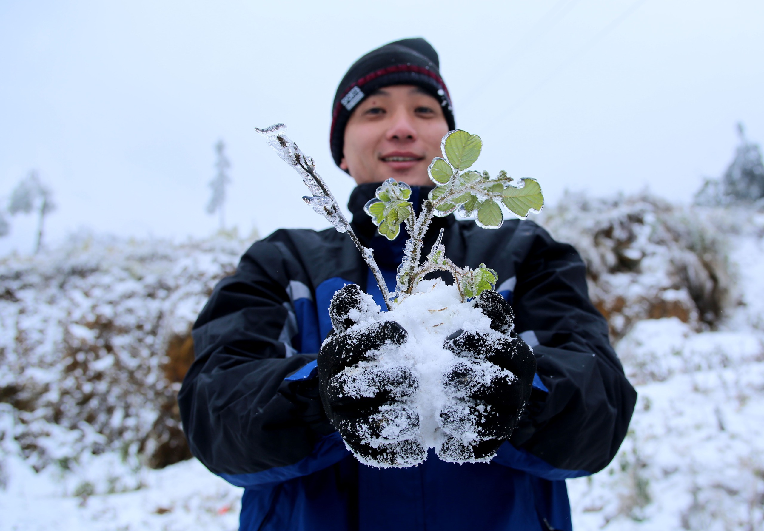 La Nina sắp kết thúc, miền Bắc có thể xuất hiện mưa tuyết trong tháng 2 - Ảnh 1.
