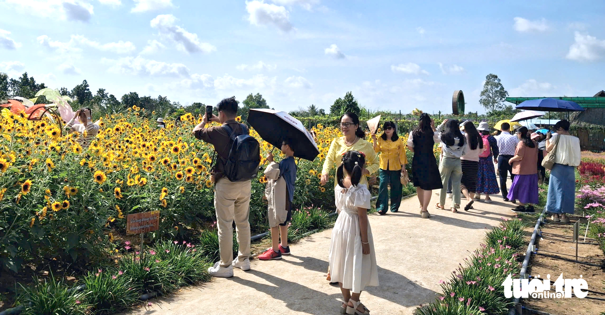 Làng hoa Sa Đéc có thêm khinh khí cầu nên đông kín khách - Ảnh 1.