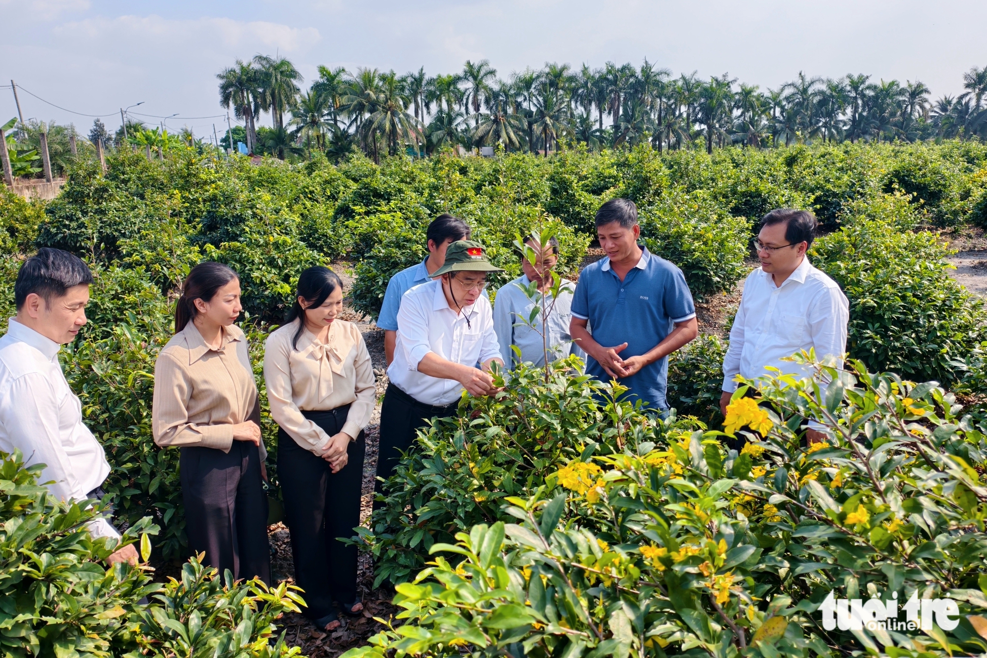 Lãnh đạo TP.HCM thăm nông dân làng mai vàng Bình Lợi trước Tết Bính Ngọ - Ảnh 1.