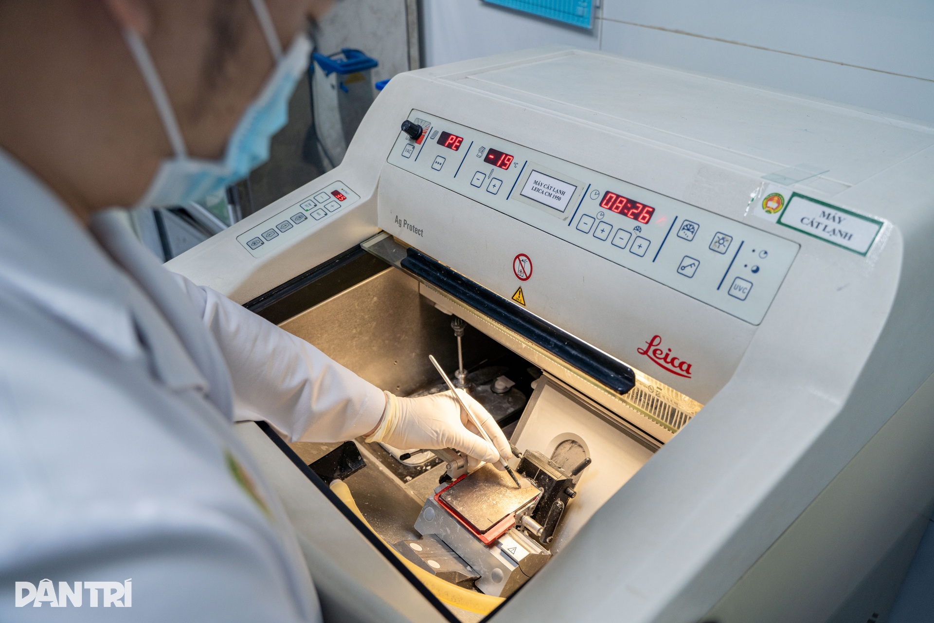 Lát cắt 3 micromet hé lộ “câu chuyện” bên trong cầu thận - 1 Lát cắt 3 micromet hé lộ “câu chuyện” bên trong cầu thận - 1