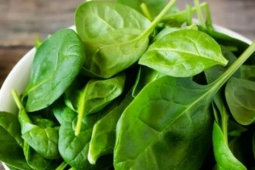Loại cải được ví là 'rau trường thọ', ăn nhiều sống khỏe