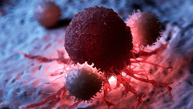 Loại quả mùa đông ăn sống hay nấu chín đều ngon, người Việt nên ăn để ngăn ngừa tế bào ung thư 1 Ảnh minh họa.