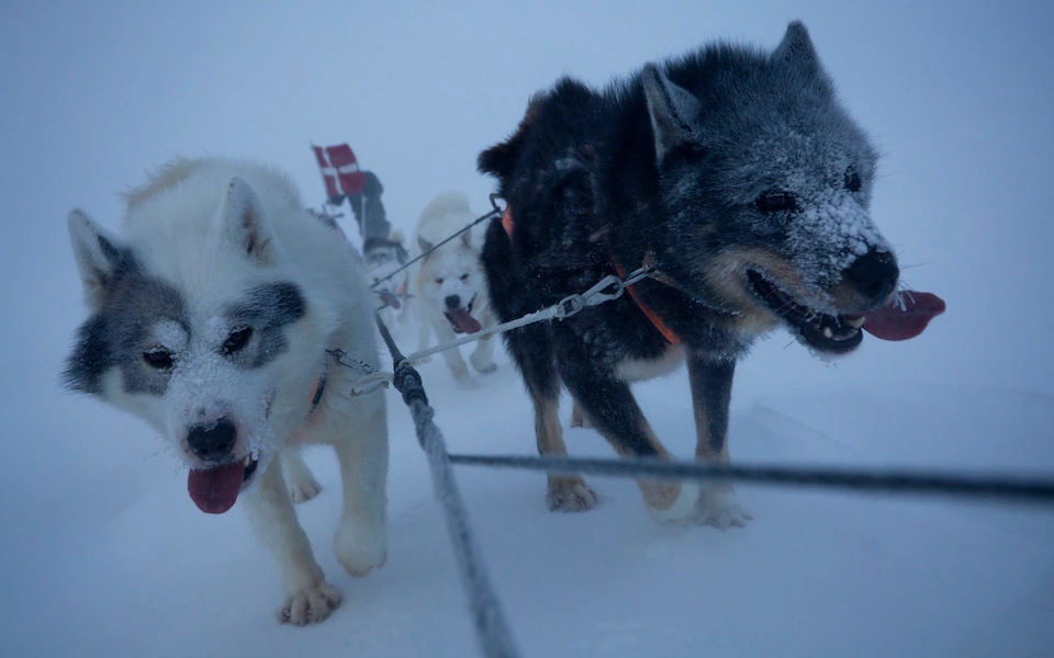 Đội tuần tra Sirius – lực lượng bị ông Trump xem nhẹ ở Greenland - Ảnh 1.