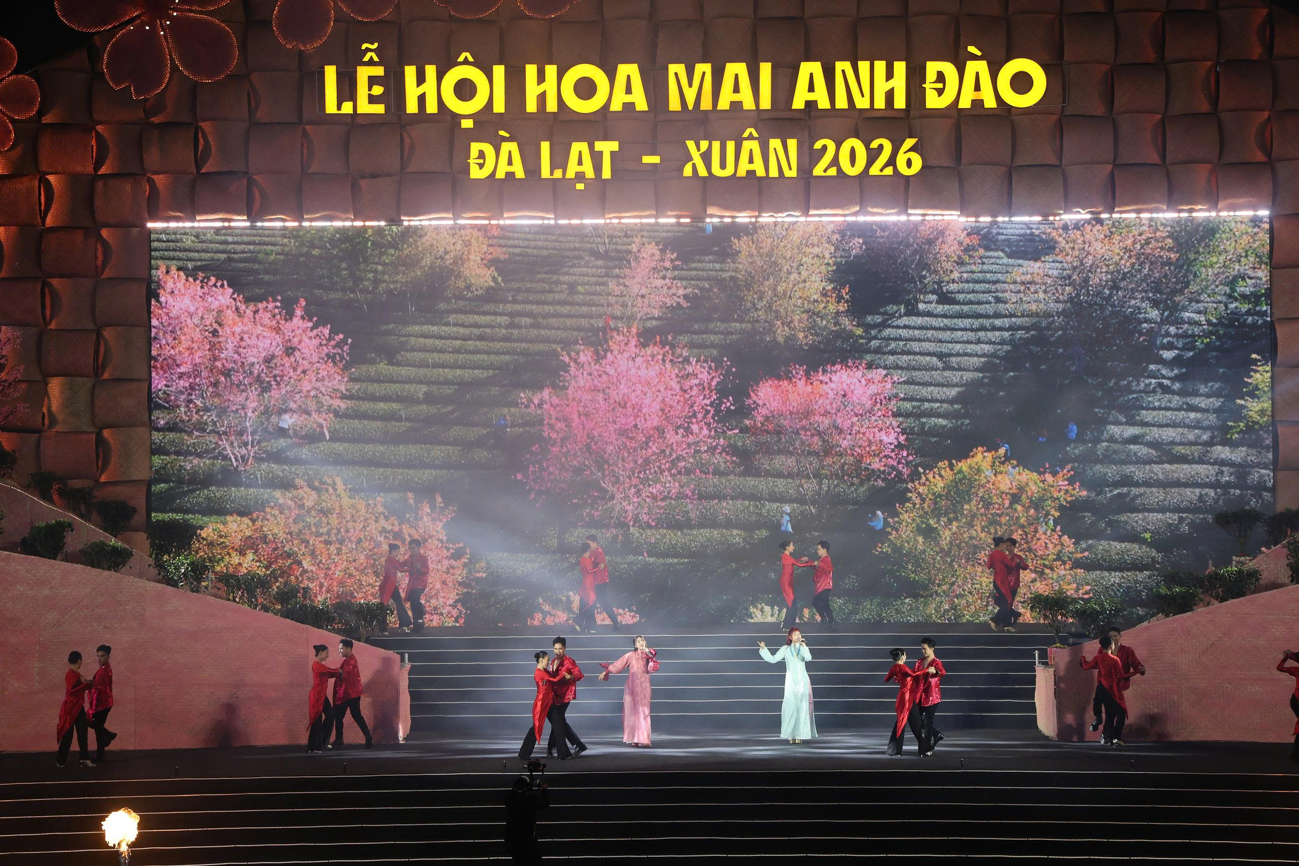 Mai anh đào Đà Lạt rực rỡ sắc xuân trong đêm khai hội- Ảnh 1.