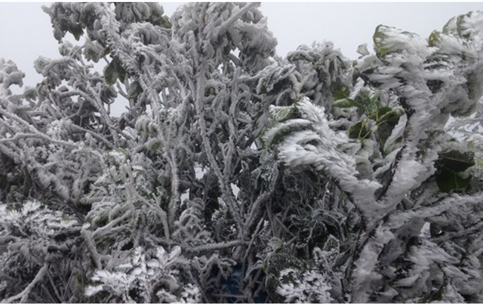 Miền Bắc duy trì trạng thái rét sâu dưới 9 độ C, sắp tăng cường đợt không khí lạnh mới?- Ảnh 1.