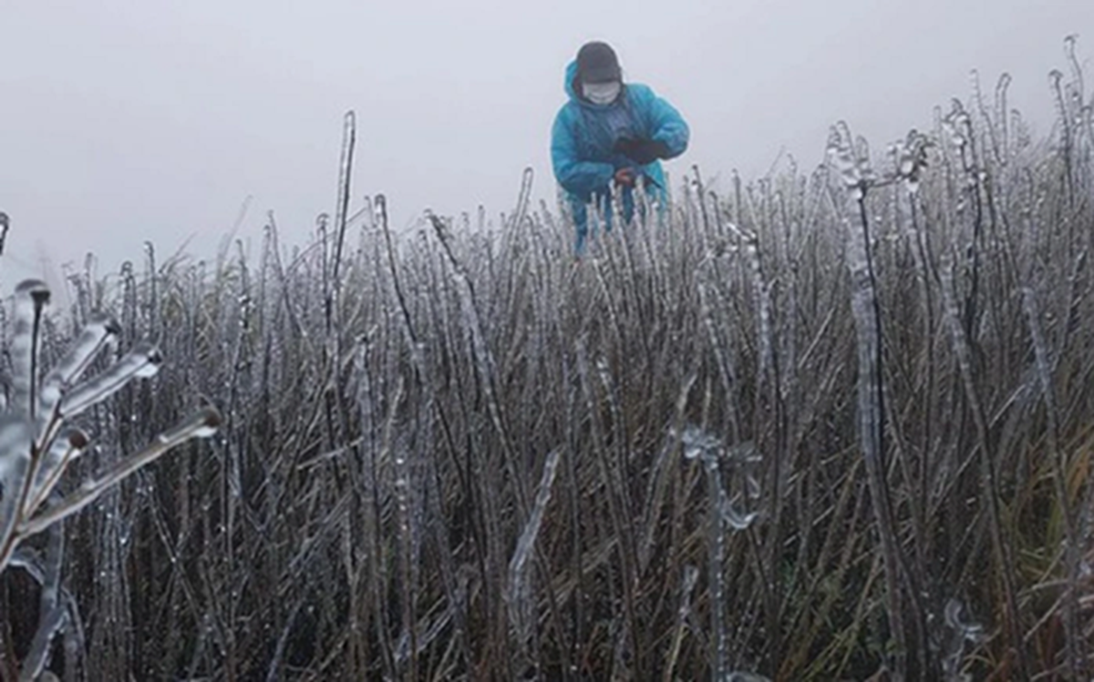 Miền Bắc lại sắp đón không khí lạnh cực mạnh giữa tháng 1, dự báo nơi rét đậm nhất- Ảnh 1.