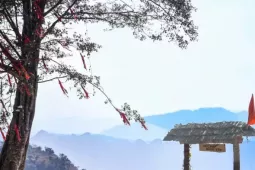 Cảnh tượng 'độc nhất vô nhị' ở điểm check-in cao nhất Mộc Châu