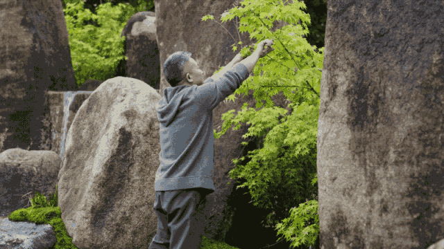 300m² đất thuê, 30 năm chỉ trồng 2 loại cây: Một bài toán “giữ tiền” ngược đời của đôi vợ chồng trung niên- Ảnh 9.