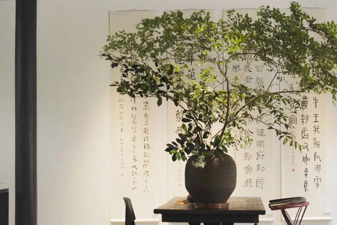 300m² đất thuê, 30 năm chỉ trồng 2 loại cây: Một bài toán “giữ tiền” ngược đời của đôi vợ chồng trung niên- Ảnh 17.