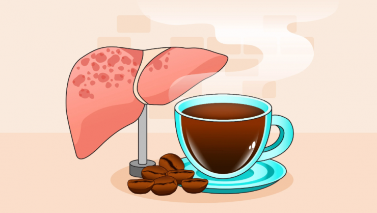 Tiêu thụ cà phê được chứng minh là tốt cho sức khỏe gan.