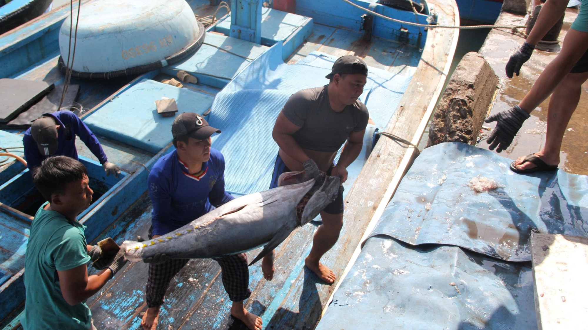 Mỹ cấm nhập 12 nhóm loài thủy sản: Nghề biển phải chuyển đổi, thích nghi 1 thủy sản - Ảnh 1.