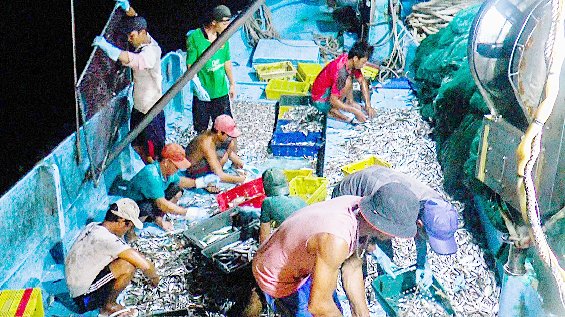 thủy sản  - Ảnh 1.