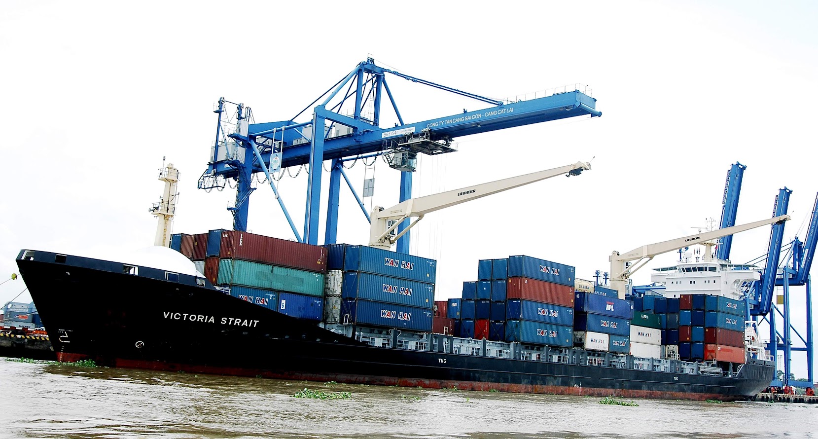 - Ảnh 1. - Ảnh 1.