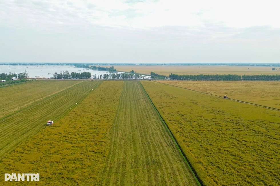 Nâng tầm hạt gạo Việt trong kỷ nguyên nông nghiệp công nghệ cao - 1