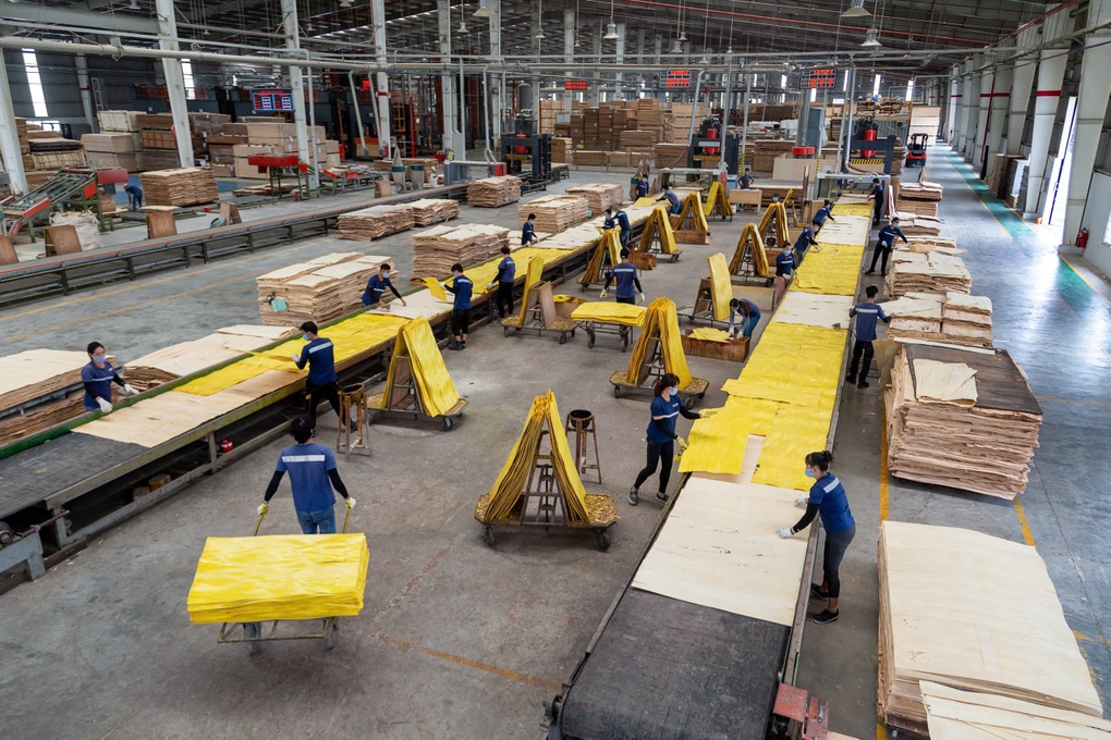 Ngành gỗ Việt giữ ngôi á quân thế giới, quyết bỏ tư duy gia công giá rẻ - 1