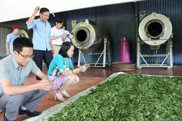 Ngành thuế lưu ý quy định mới về thuế VAT trong kinh tế 2025 - Ảnh 1.