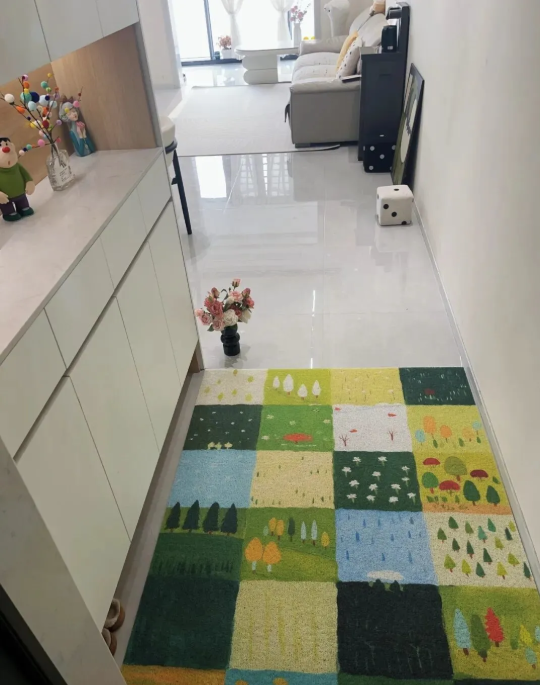 Ngày càng nhiều người từ biệt thảm chùi chân trước cửa, không phải tiết kiệm mà vì quá phiền- Ảnh 1.