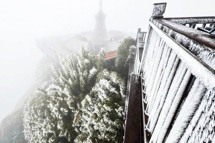 Dự báo thời tiết 11/1: Ngày và đêm ở miền Bắc chênh lệch 10°C, đề phòng băng giá- Ảnh 1.