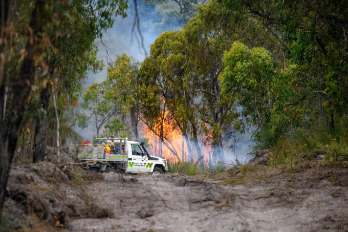 Cháy rừng tại Gellibrand, bang Victoria, miền nam Australia, ngày 28/1. Ảnh: Reuters