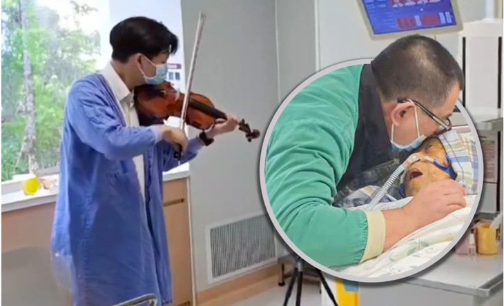 Người con mời nghệ sĩ violin vào phòng hồi sức tích cực kéo khúc nhạc cuối tiễn mẹ  - Ảnh 1.