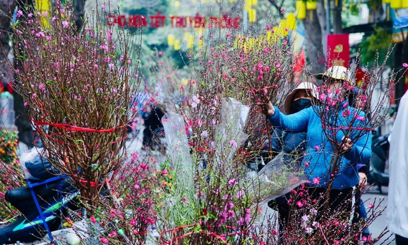 Tin mới nhất về thời tiết Tết Nguyên đán 2026: Nguy cơ mưa lớn kèm rét đậm, rét hại?- Ảnh 1.