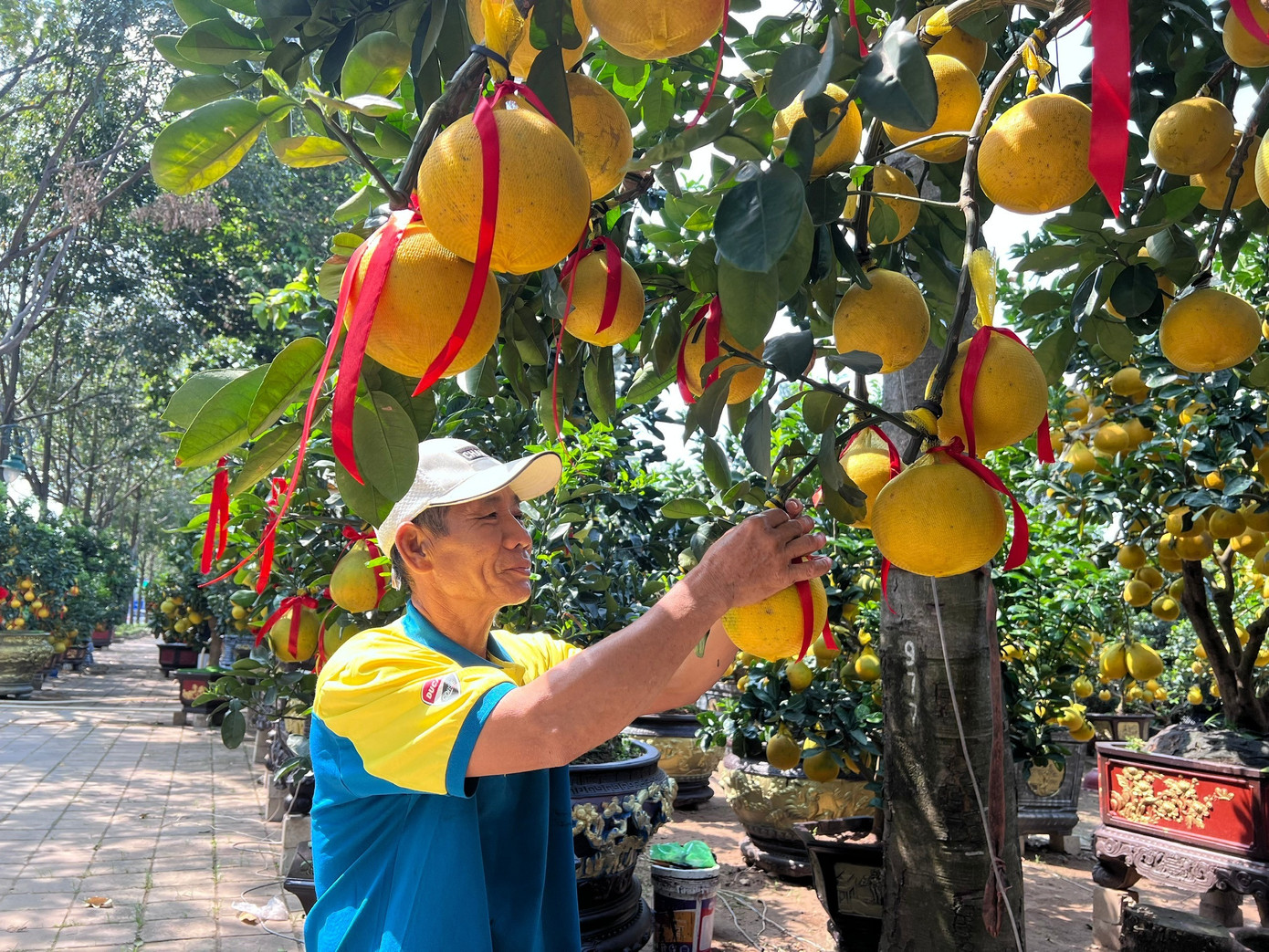 Nhà vườn TPHCM 'nín thở' chờ sức mua- Ảnh 1.