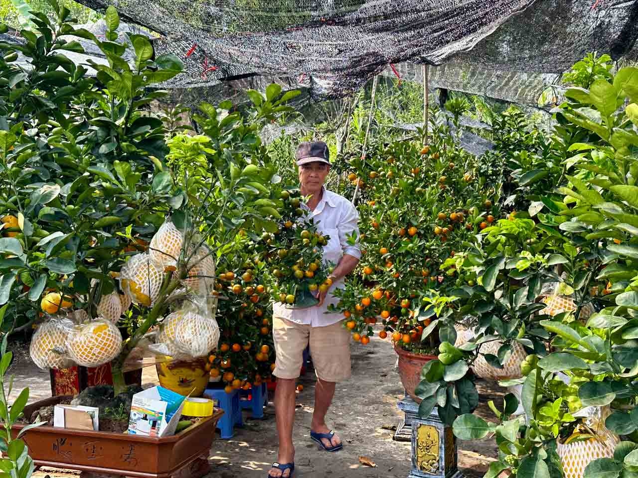 Nhà vườn hoa kiểng phập phồng vì thời tiết- Ảnh 1.