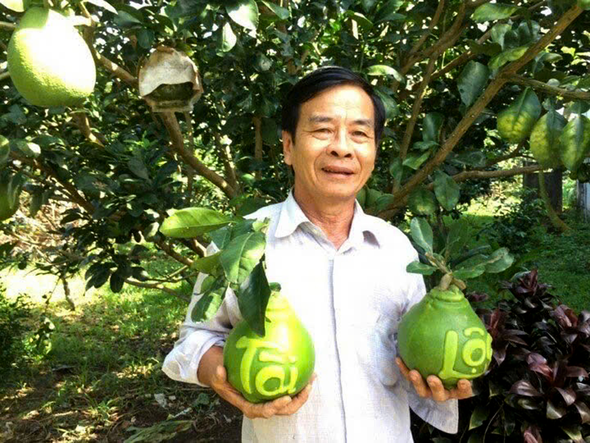 Nhà vườn miền Tây chuẩn bị trái cây tạo hình, in chữ bán Tết 1 nhà vườn - Ảnh 1.