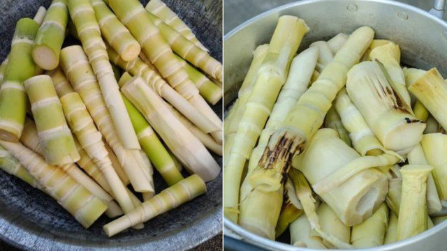 Nên kiểm tra măng cẩn thận để loại bỏ bất kỳ phần măng nào có thể không an toàn để ăn.